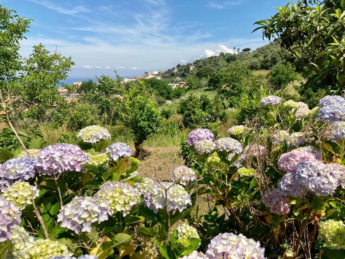 Ricomincio Da Te Villa Vico Equense Kültér fotó